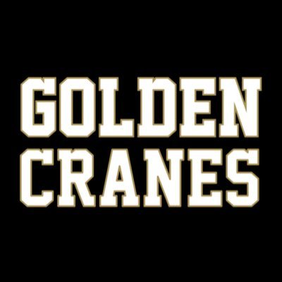 golden_cranes Profile Picture