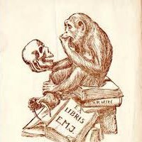 Judit Hajnal Ward 💙 💛 (@judit_librarian) 's Twitter Profile Photo Judit Hajnal Ward 💙 💛 (@judit_librarian) 's Twitter Profile Photo