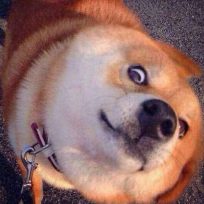 zeo20221's profile picture. oh~la-la