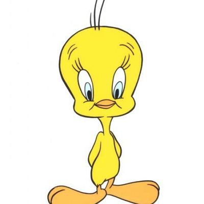 TWEETY BIRD