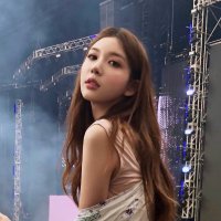 Hailee No (@nohaileeno) 's Twitter Profile