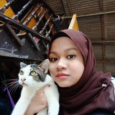 saya sayang meow lebih dari saya sayang awak