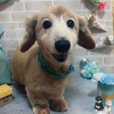 CPSpKhBWLpEOlyI's profile picture. 