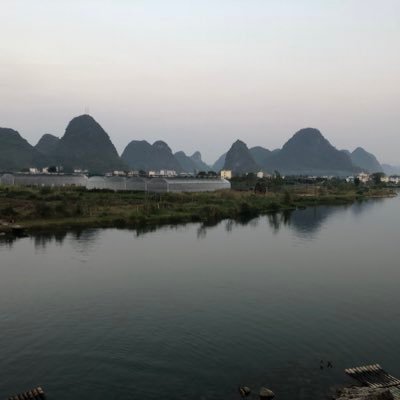 Annie86259972's profile picture. 