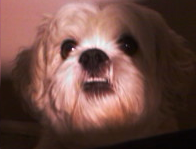 Brendanblogga's profile picture. hey im brendan