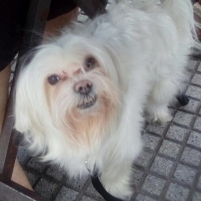 gteresitasv's profile picture. 