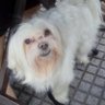 gteresitasv's profile picture. 