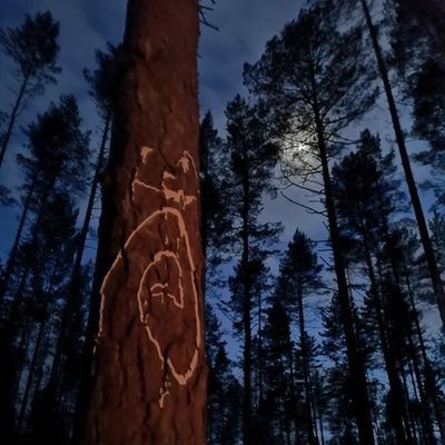 Automatons11's profile picture. LLU Mehs