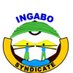 INGABO Syndicate (@ingabosyndicat1) Twitter profile photo INGABO Syndicate (@ingabosyndicat1) Twitter profile photo