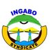 INGABO Syndicate (@INGABOSYNDICAT1) Twitter profile photo