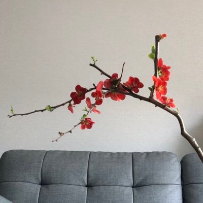 vinijeong's profile picture. 식물, 달리기, 맥주, 책.