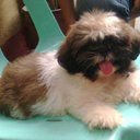 peter john punzalan - @peterhohn - Twitter