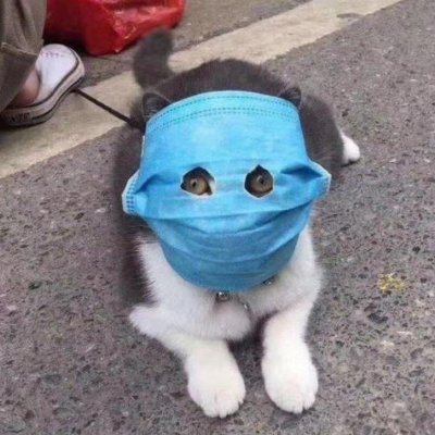 shkodnik83's profile picture. В какое интересное время живем, товарищи!