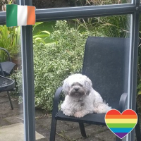 Claire Mahon Coach (@nightnurs3) 's Twitter Profile