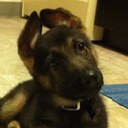 Patrick Byers - @patrick_byers - Twitter