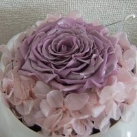 Ayano Tanaka(田中綾乃) (@sophy1115) 's Twitter Profile Photo