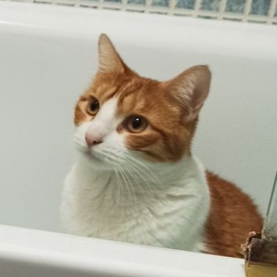 Extebannnn's profile picture. 