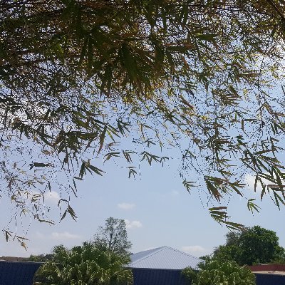 Tykajib's profile picture. It's for me to know and you to find out.