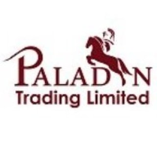 paladin_trading Profile Picture