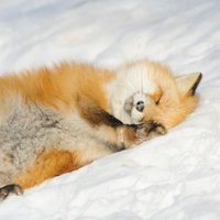 澪月@ツイフィ必読 (@_mizuki_trhk_) 's Twitter Profile