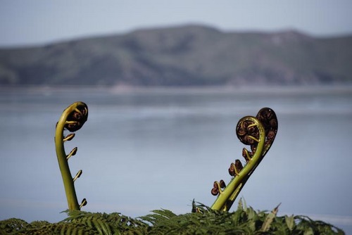 riskfate's profile picture. IT geek, distance working expert, frequent flyer fan, lifelong learner