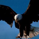 Refugio González - @soyaguila21 - Twitter