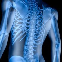 Journal Of Orthopedic Oncology (@jorthopedics) 's Twitter Profile