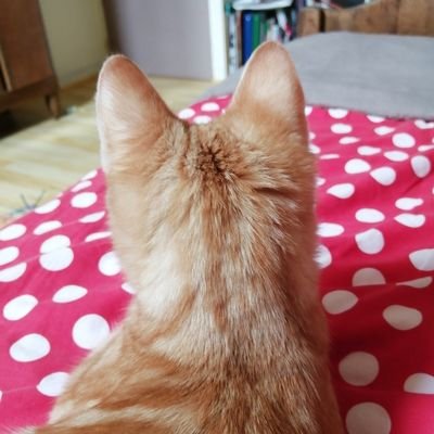 rosarys__'s profile picture. 