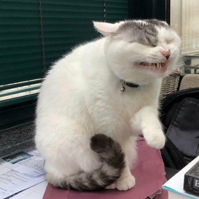 Klinge871's profile picture. 