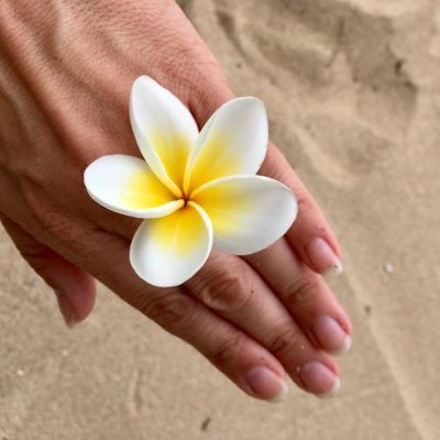 martel_mchiara's profile picture. 