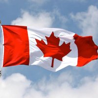 CanadiansStuckInPeru (@stuckperu) 's Twitter Profile