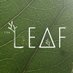 The LEAF Charity (@wearetheleaf) Twitter profile photo