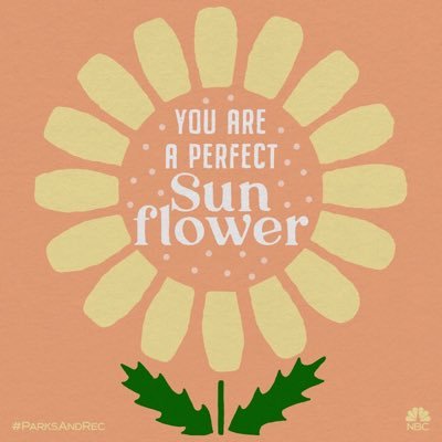 Kim21449828's profile picture. #LynnUniversity alumna ⚽️ Spreading #EpilepsyAwareness #Boston