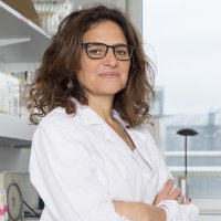 equipe.piaggio (@equipepiaggio) 's Twitter Profile