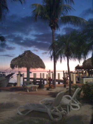 bobingramssi's profile picture. 