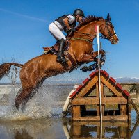 Francisco Gaviño (@fgavinoeventing) 's Twitter Profile