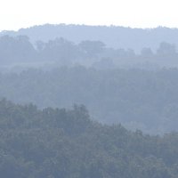 MU Extension Natural Resources (@mowoodsteward) 's Twitter Profile