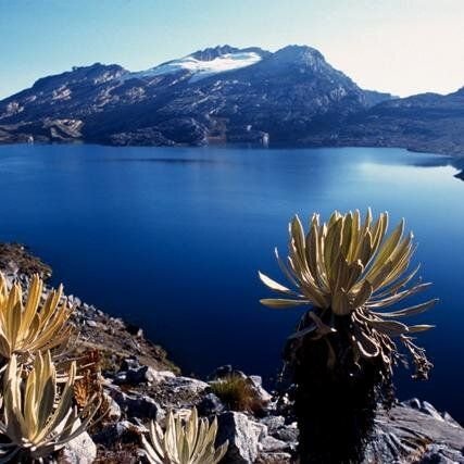 maldo736's profile picture. 