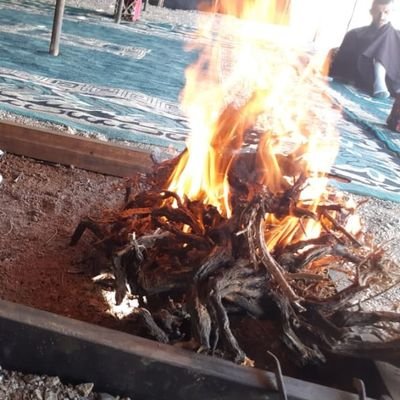 aA24O3NTAPiNv6D's profile picture. 