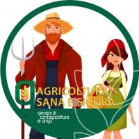 Anga_Torino (@angatorino) 's Twitter Profile