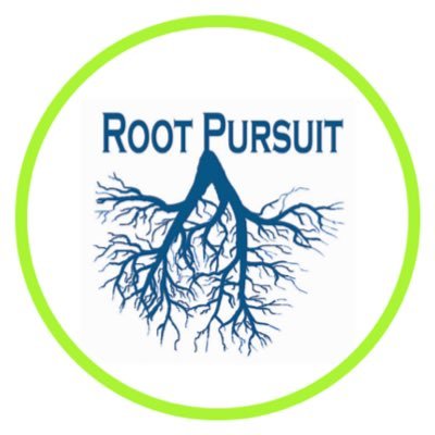 Root Pursuit