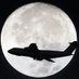 Tokyo Radar🇯🇵 (@japan_radar) Twitter profile photo Tokyo Radar🇯🇵 (@japan_radar) Twitter profile photo