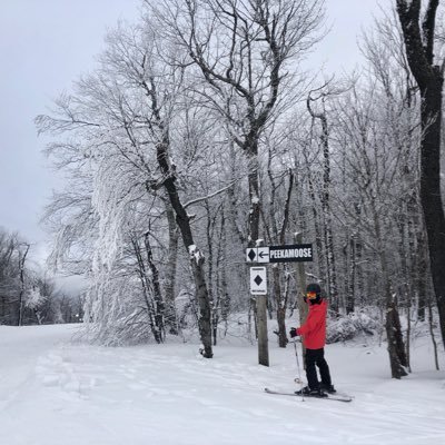 _kaigeliu_'s profile picture. 