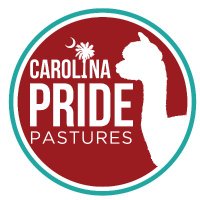 Carolina Pride Pastures(@CPPastures) 's Twitter Profile Photo