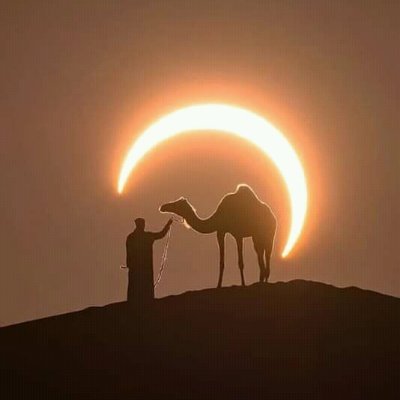 ash_mazhar's profile picture. MS International Relations| Defence & Strategy| Foreign Policy|Kashmiri🍁