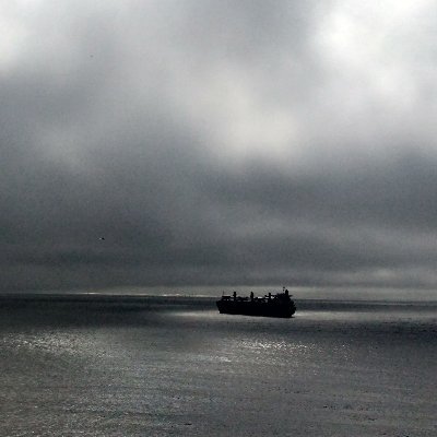 MaraCon92577620's profile picture. Niebla, Chile.