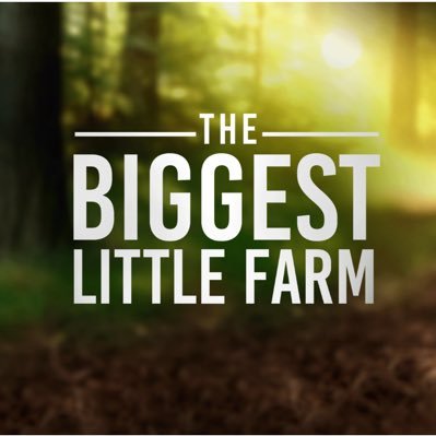 8 years, 200 acres of barren farmland, and a dream to transform it into a sustainable farm. #TheBiggestLittleFarm in cinemas now.