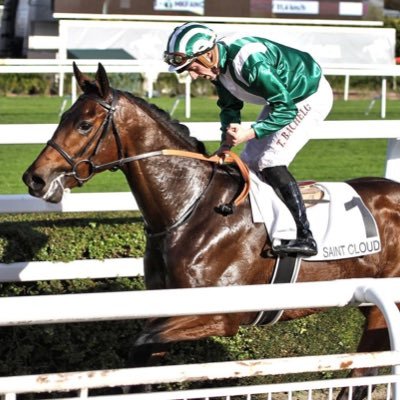 BachelotT's profile picture. 