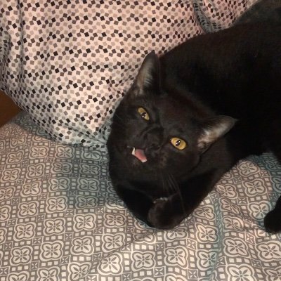 SuperRXTech1's profile picture. Healthcare worker SuperTech. 

Please stop sneezing on us.