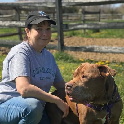 Paid to be an RN, live to rescue dogs.